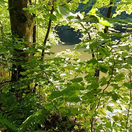 Διαμέρισμα Casa Del Witzmann *