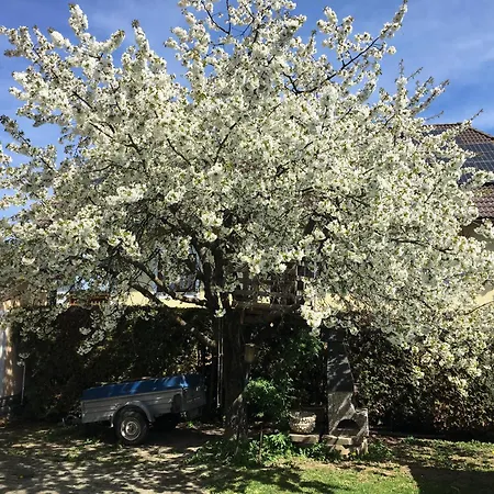 Διαμέρισμα Casa Del Witzmann Karlstein an der Thaya