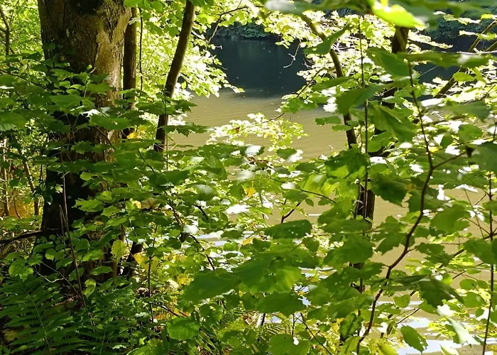 Apartment Casa Del Witzmann *