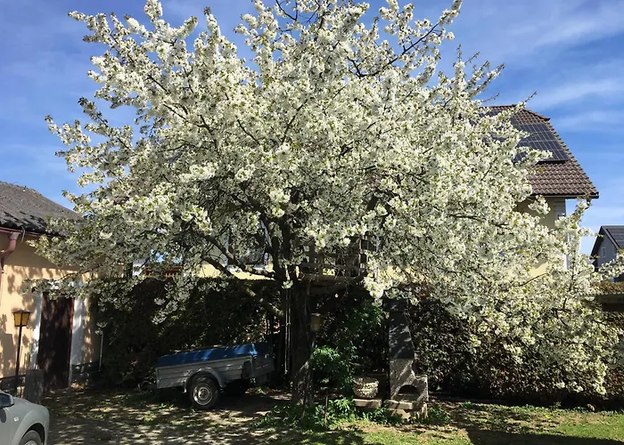 Apartment Casa Del Witzmann Karlstein an der Thaya